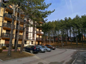 Apartman Aleksandar Zlatibor